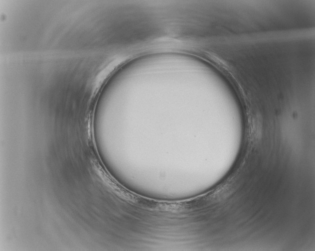 X0000051921415200507152045