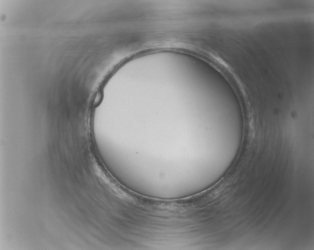 X0000051921416200507152045