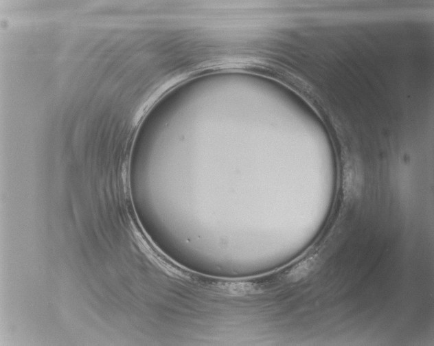 X0000051921417200507152045