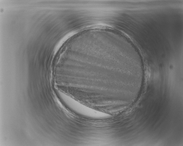 X0000051921418200507152045