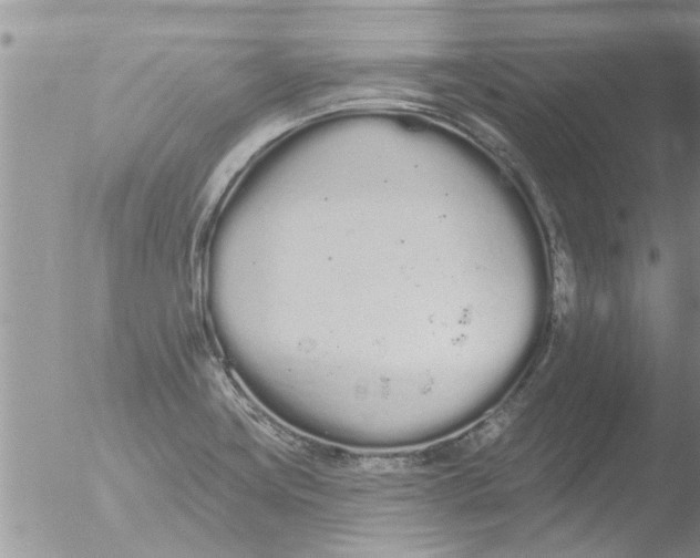 X0000051921419200507152045