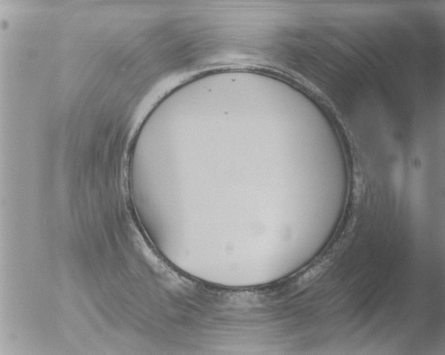 X0000051921421200507152045