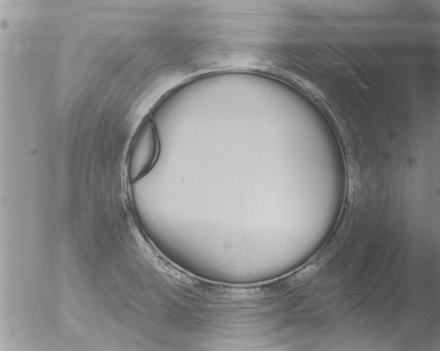 X0000051921423200507152045