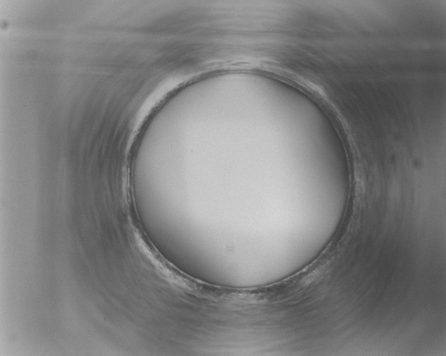 X0000051921424200507152045