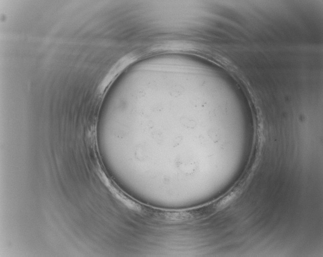 X0000051921425200507152045