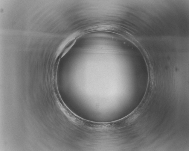 X0000051921426200507152045