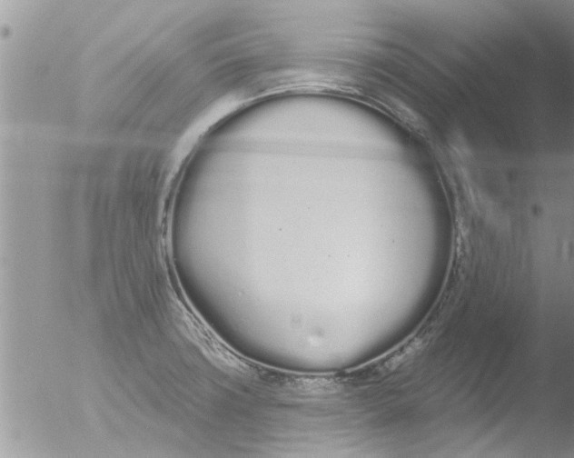 X0000051921427200507152045