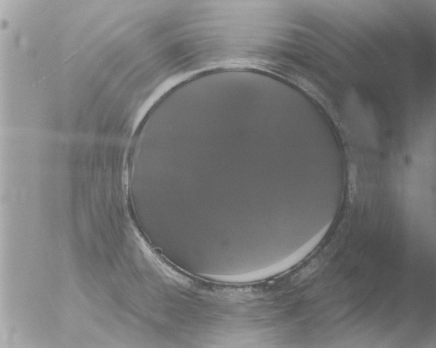 X0000051921428200507152045