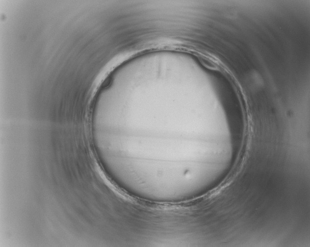 X0000051921429200507152045