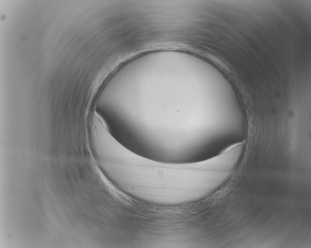 X0000051921430200507152045