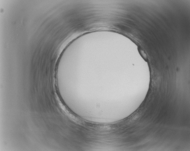 X0000051921431200507152045