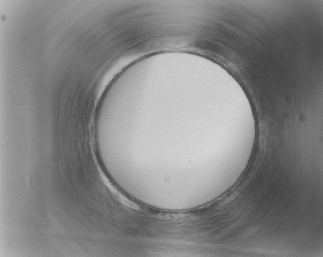 X0000051921432200507152045