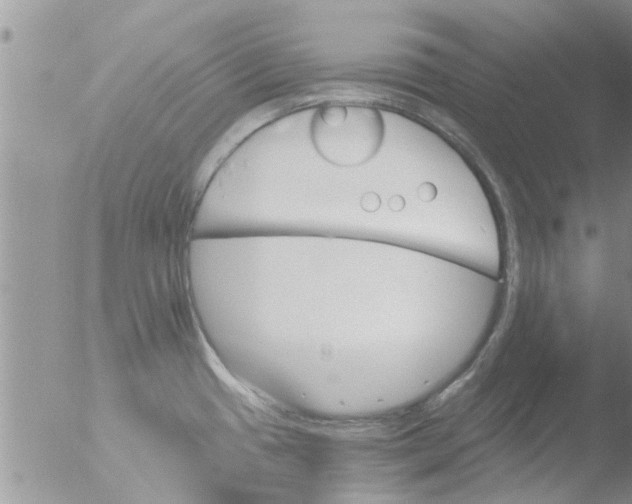 X0000051921433200507152045