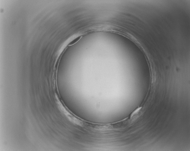 X0000051921434200507152045