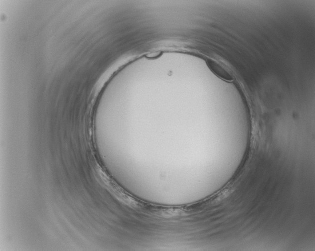 X0000051921435200507152045