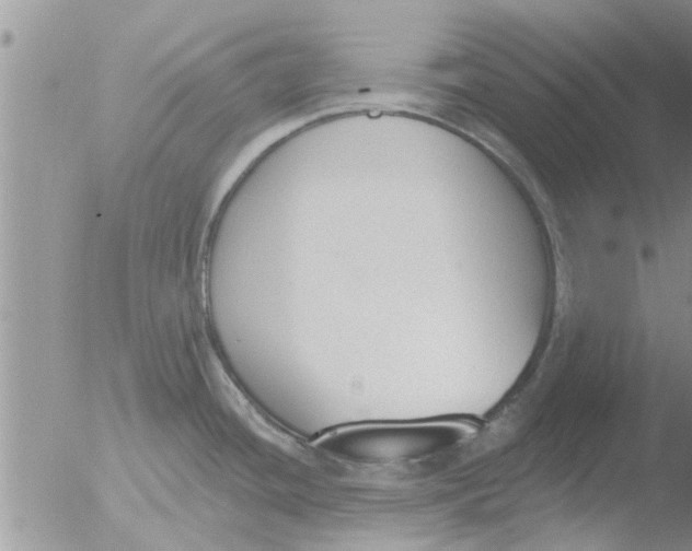 X0000051921436200507152045