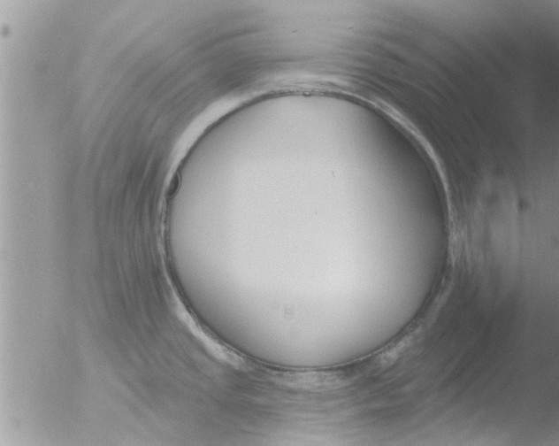 X0000051921437200507152045