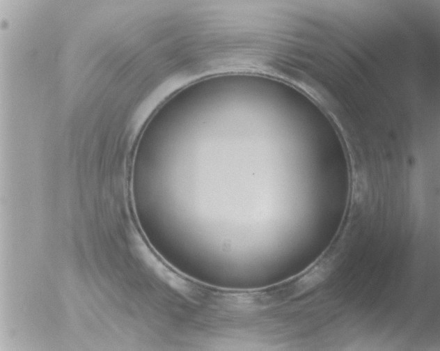 X0000051921438200507152045