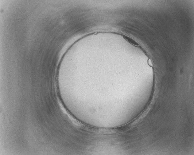 X0000051921440200507152045