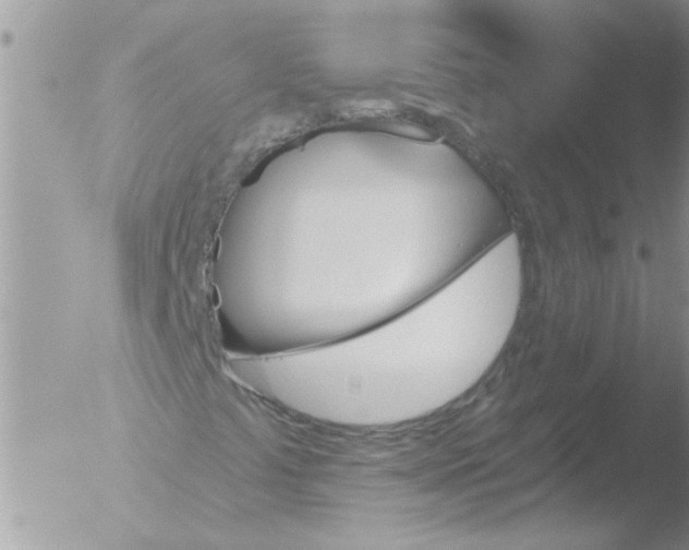 X0000051921441200507152045