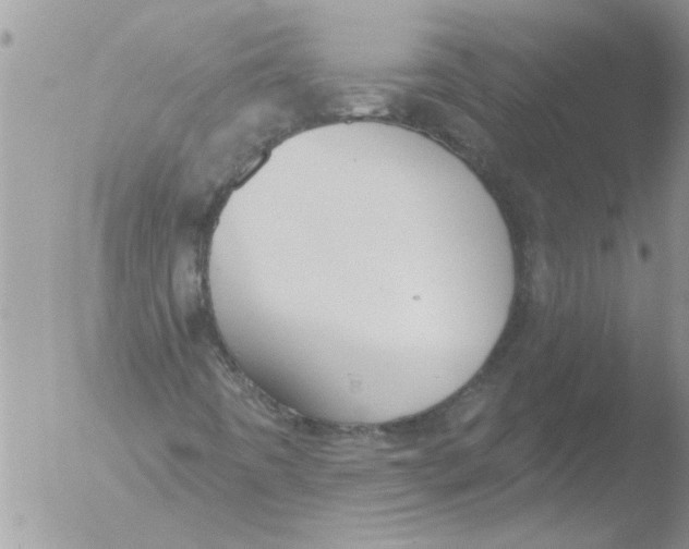 X0000051921442200507152045