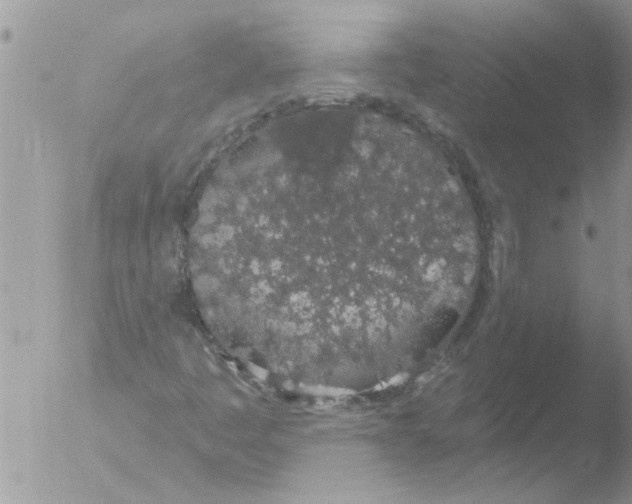 X0000051921445200507152044