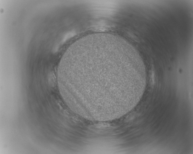 X0000051921446200507152044