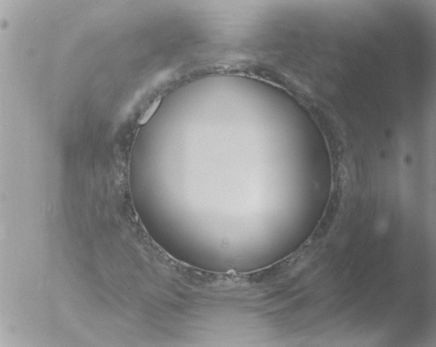 X0000051921447200507152044