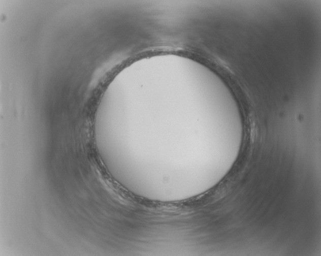 X0000051921448200507152044