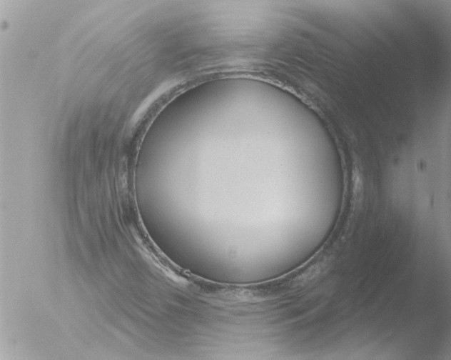 X0000051921450200507152044