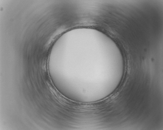 X0000051921451200507152044