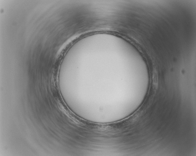 X0000051921452200507152044