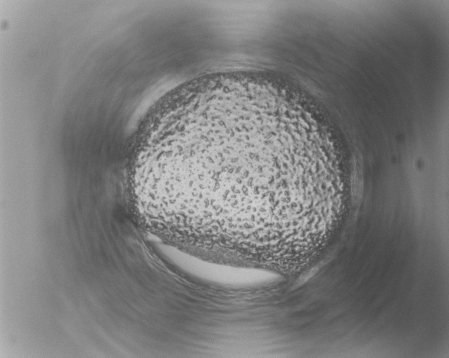 X0000051921453200507152044