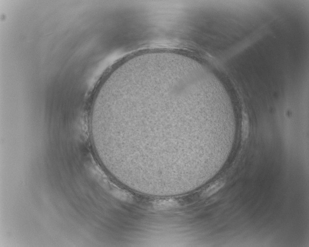 X0000051921454200507152044