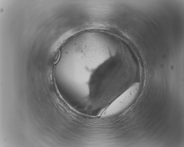 X0000051921455200507152044