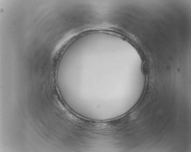 X0000051921456200507152044