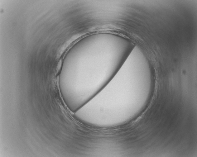 X0000051921457200507152044