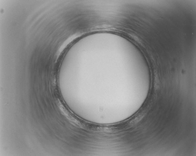 X0000051921458200507152044