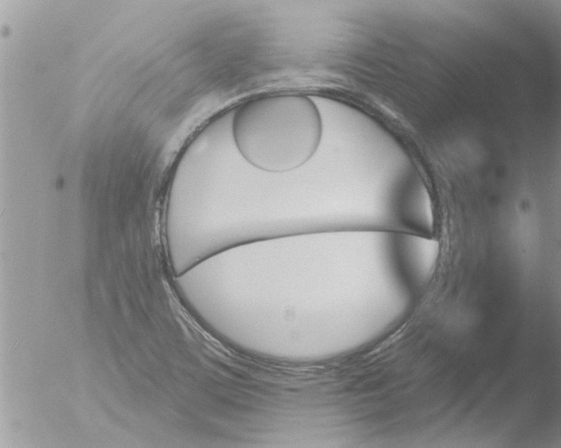 X0000051921459200507152044