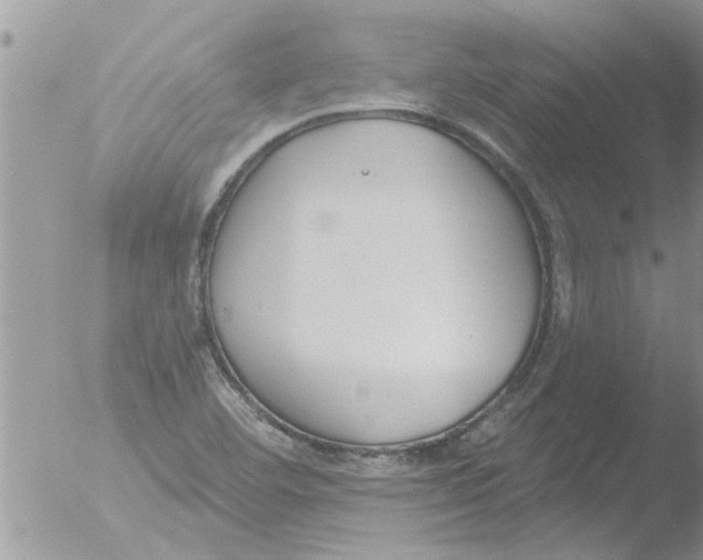 X0000051921460200507152044