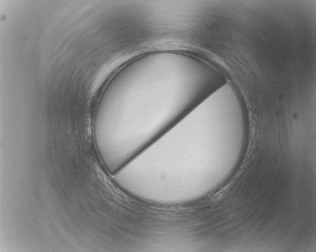 X0000051921461200507152044