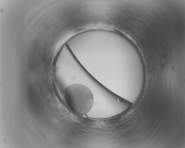 X0000051921463200507152044