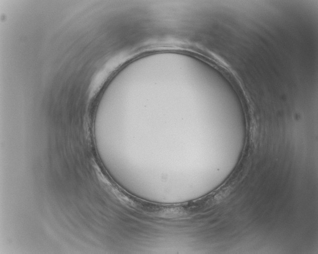 X0000051921464200507152044