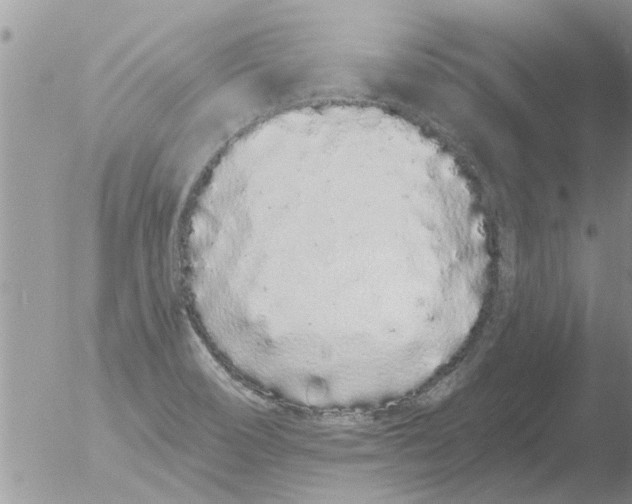 X0000051921466200507152044