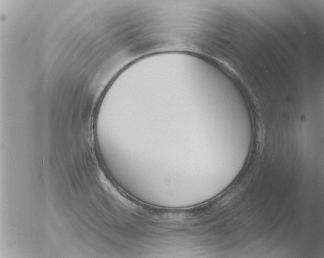 X0000051921468200507152044