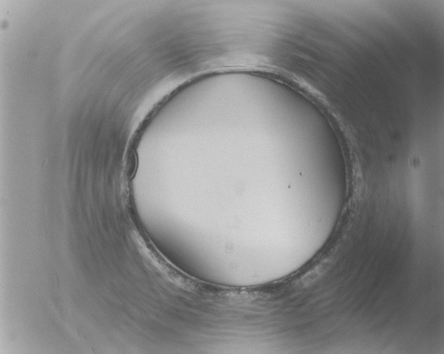 X0000051921469200507152044