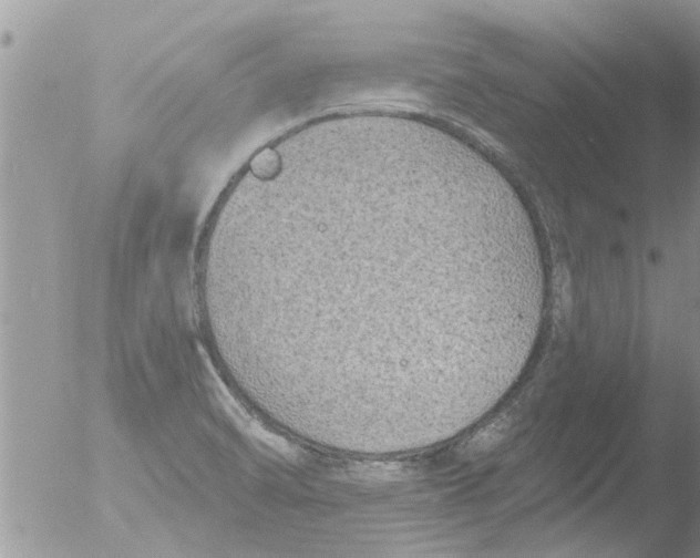 X0000051921470200507152044