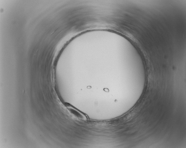 X0000051921472200507152044