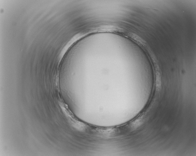 X0000051921473200507152044