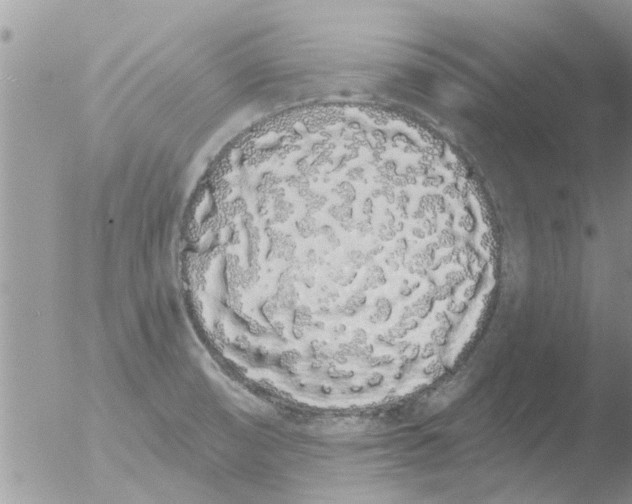 X0000051921474200507152044